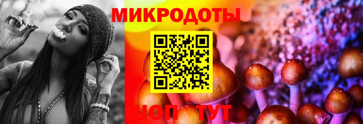 Псилоцибиновые грибы Psilocybe  Вход с VPN  Карпинск  Галлюциногенные грибы Psilocybine cubensis 